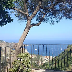 https://a-casa-da-daniela.sicilyhotelsitaly.net
